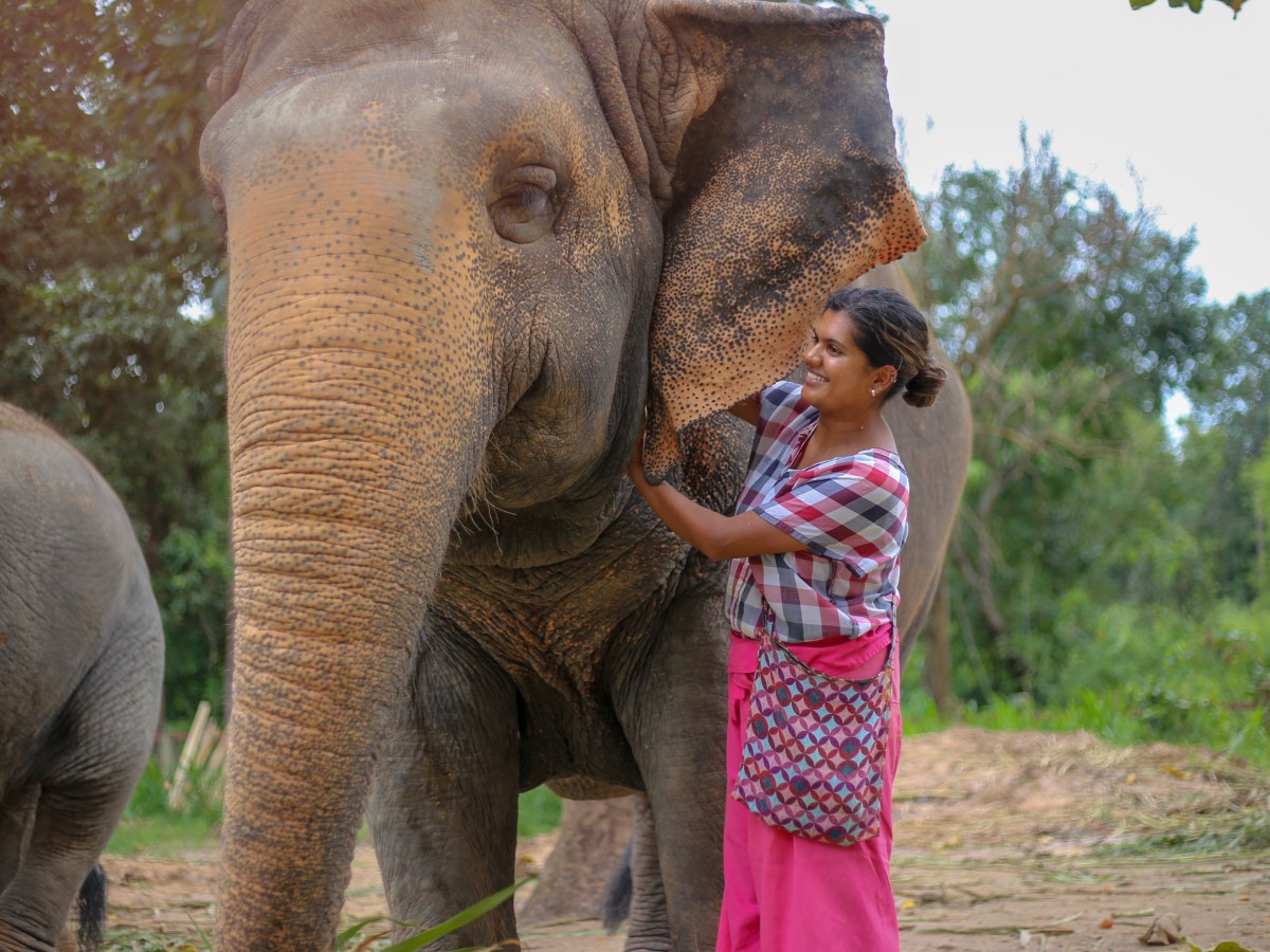 From Temples to Tropical Breeze in&nbsp;Thailand