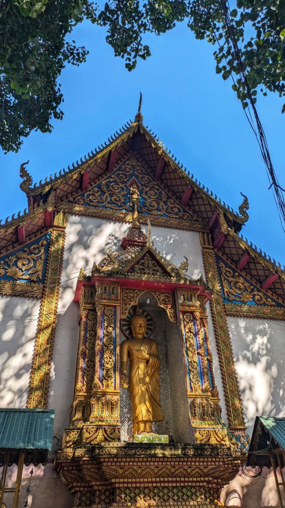 wp-17399801742212490680054933004903