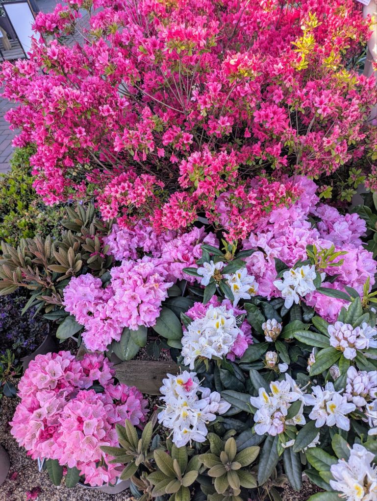 pxl_20250510_160730425~23729526061156843465.