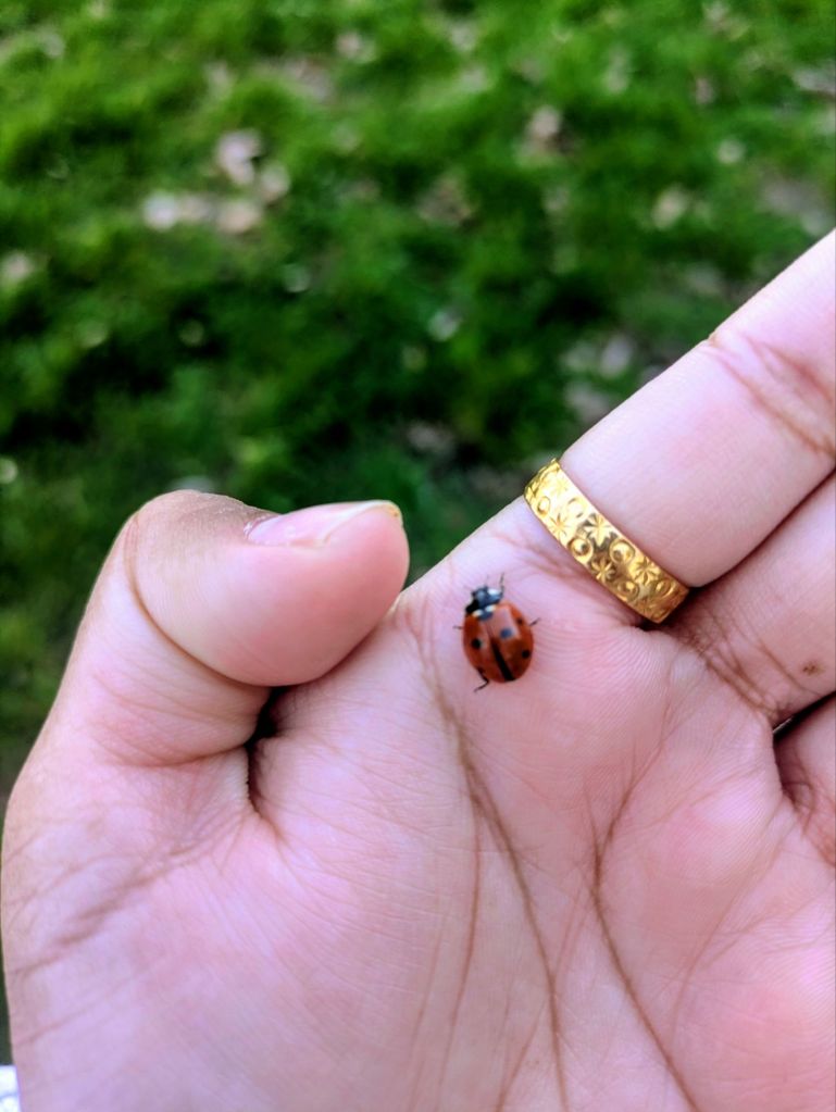 pxl_20260318_171200659~2342263353961988517.